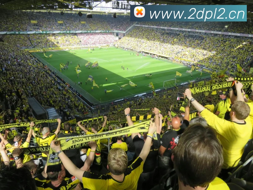 世界杯官方网络平台平台生态图